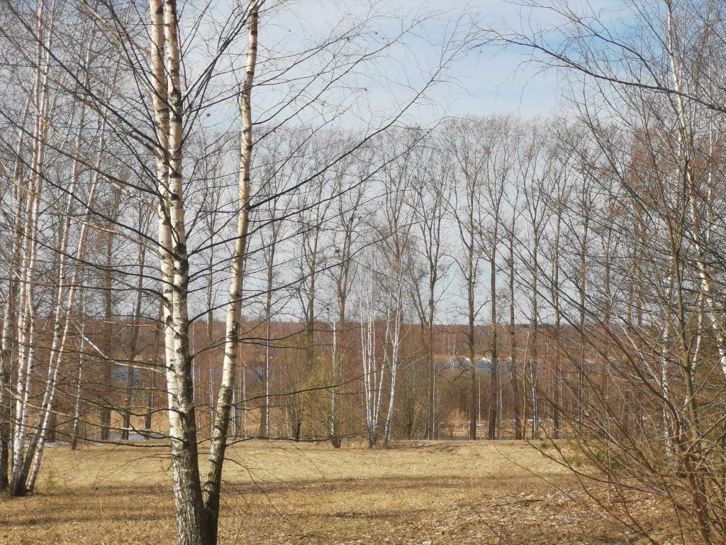 Участок 16 сот., Тверская обл., Белое