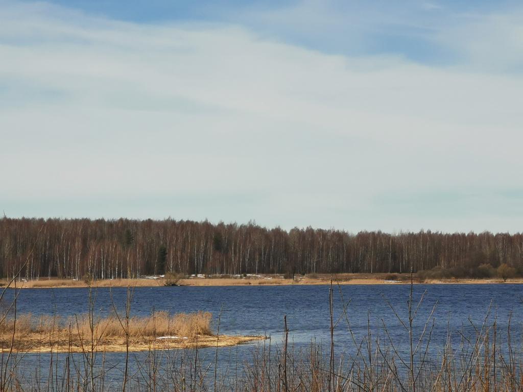 Участок 16 сот., Тверская обл., Белое